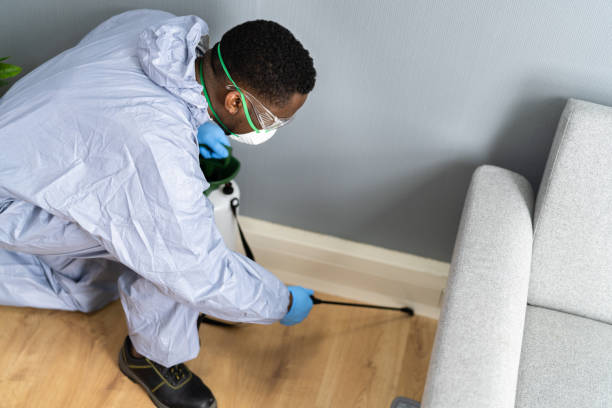 Best Pest Exclusion Services  in Westchase, FL